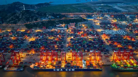 Container ship and gantry cranes beside a brightly lit terminal at night